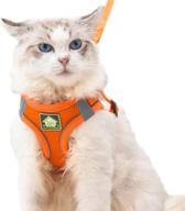 🐾 premium domkim soft mesh no pull dog harness and leash set - ideal for small to medium dogs/cats - escape-proof walking cat harness and leash combo logo