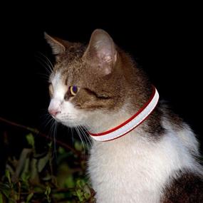 img 2 attached to 🐱 Pack of 3 KUDES Breakaway Cat Leather Collars | Reflective Safety Buckle | Bell Included | Adjustable from 7.5in-12.5in | Suitable for Cats, Kittens, and Small Animals