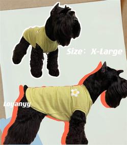 img 2 attached to 🐶 Loyanyy 2 Pieces Dog Summer Vest: Breathable Waffle Knit T-shirt for Small-Medium Sized Dogs & Cats – Sleeveless, Stretchy, Cute Puppy/Kitten Clothes in Yellow-Green, Size Large