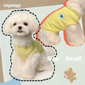 img 1 attached to 🐶 Loyanyy 2 Pieces Dog Summer Vest: Breathable Waffle Knit T-shirt for Small-Medium Sized Dogs & Cats – Sleeveless, Stretchy, Cute Puppy/Kitten Clothes in Yellow-Green, Size Large