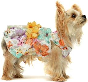 img 2 attached to 🐶 Fitwarm Floral Dog Dress for Pet Clothes Birthday Party Doggie Sundress Puppy Lace Apparel in Yellow