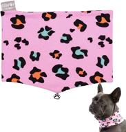 paw seven accessories birthday washer dryer логотип