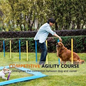 img 3 attached to 🐶 DEStar Dog Agility Training Kit: Ultimate Pet Obstacle Course with Tunnel, Adjustable Hurdles, Poles, and Carry Bag