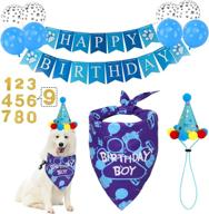 birthday supplies bandana number balloons логотип