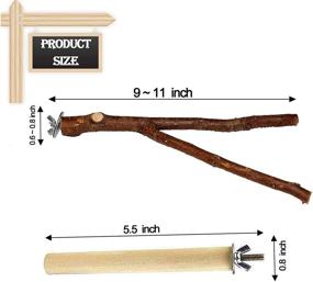 img 2 attached to Naturally Made Parrot Perches - Bird Stands for Climbing, Paw Grinding, and Cage Accessories - Wooden Branch Stick Toys, Suitable for Parakeets, Lovebirds, Budgies, Cockatiels, Finches