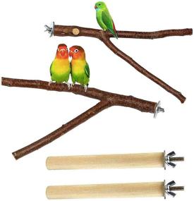 img 4 attached to Naturally Made Parrot Perches - Bird Stands for Climbing, Paw Grinding, and Cage Accessories - Wooden Branch Stick Toys, Suitable for Parakeets, Lovebirds, Budgies, Cockatiels, Finches