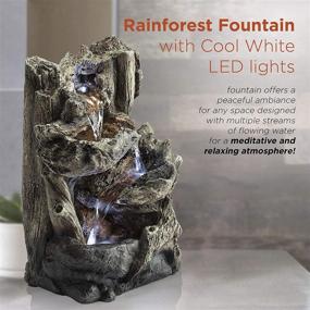 img 1 attached to 🌿 Enhance Your Space with the Alpine Corporation 14" Tall Log Tabletop Fountain - LED Lights, Beige