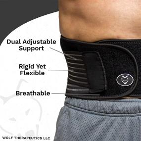 img 1 attached to 🩺 Lumbar Support Belt for Lower Back Pain Relief & Improved Posture - Stabilizing Waist Compression Brace for Heavy Lifting, Herniated Disc - Men & Women (Large)