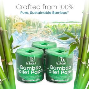 img 2 attached to 🌿 BrillaBoo Pure Bamboo Toilet Paper - 100% Biodegradable, Tree-Free, Hypoallergenic, Ideal for Sensitive Skin - FSC Certified, Eco-Friendly - 2 Ply, 300 Sheets, Pack of 12 Rolls