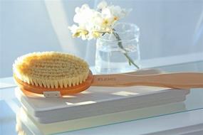 img 2 attached to 🌟 ELEMIS Body Detox Skin Brush - Optimal Exfoliating Brush for a Radiant Skin Glow