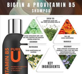 img 2 attached to 🧴 Pure U Biotin Shampoo & Conditioner with Provitamin B5 for Enhanced Hair Growth & Volume, Thickening Shampoo for Fuller Hair, Combating Hair Loss in Men & Women, 8 Oz