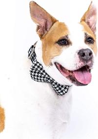 img 2 attached to 🐶 Dashin' Dogz: Stylish Black & White Houndtooth Bowtie Dog Collar - Comfortable Plaid Pattern, Detachable Bow Tie - Perfect Pet Gift