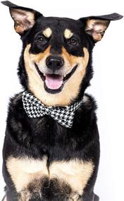 img 3 attached to 🐶 Dashin' Dogz: Stylish Black & White Houndtooth Bowtie Dog Collar - Comfortable Plaid Pattern, Detachable Bow Tie - Perfect Pet Gift