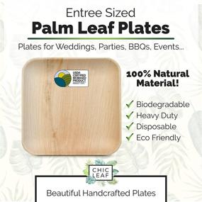 img 3 attached to 🌿 Chic Leaf Palm Leaf Plates: Eco-friendly 10 Inch Bamboo Disposable Plates (50 Pc) - Compostable & Biodegradable Alternative to Plastic and Paper Plates