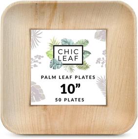 img 4 attached to 🌿 Chic Leaf Palm Leaf Plates: Eco-friendly 10 Inch Bamboo Disposable Plates (50 Pc) - Compostable & Biodegradable Alternative to Plastic and Paper Plates