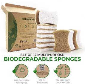 img 1 attached to Eco-Friendly Biodegradable Kitchen Sponges - Compostable Cellulose and 🌿 Coconut Walnut Scrubber - Pack of 12 Natural Dish Sponges