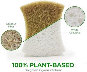 img 3 attached to Eco-Friendly Biodegradable Kitchen Sponges - Compostable Cellulose and 🌿 Coconut Walnut Scrubber - Pack of 12 Natural Dish Sponges