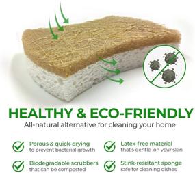 img 2 attached to Eco-Friendly Biodegradable Kitchen Sponges - Compostable Cellulose and 🌿 Coconut Walnut Scrubber - Pack of 12 Natural Dish Sponges