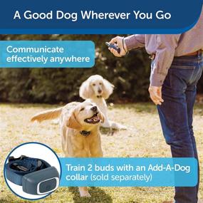 img 3 attached to 🐶 PetSafe Remote Dog Training Collar – 300 Yard Range (900 Feet) – Choose Tone, Vibration, or 15 Levels of Static Stimulation – Rechargeable, Waterproof & Durable – Home & Yard Remote Trainer