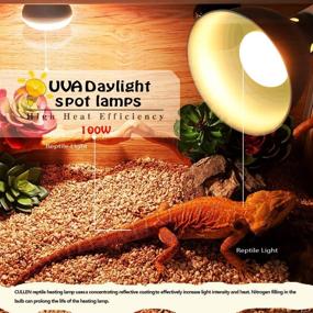 img 2 attached to MCLANZOO Reptile Heat Bulb 2 Pack UVA Light 100W Lamp - Ideal for Lizard, Tortoise, Bearded Dragon, Hedgehogs, and Amphibians! Includes Stick-on Digital Temperature Thermometer