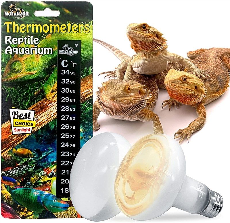 MCLANZOO Reptile Heat Bulb 100W 2 Pack UVA Light Lamp for Lizard, Tortoise, Bearded Dragon, Stick-On Digital Temperature Thermometer, White