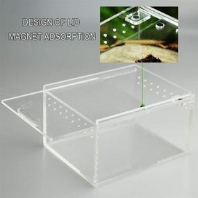 img 3 attached to MABELER Magnetic Acrylic Reptile Cage: Nano Enclosure for Reptile Breeding and Terrarium 🦎 Tank with Transparent Design for Tarantulas, Scorpions, Sling, Isopods, Lizards, Roaches, Invertebrates, Insects, and Mantises