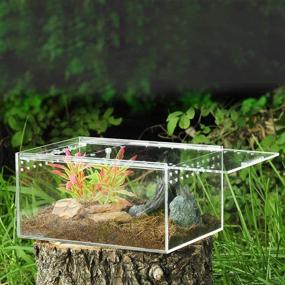 img 2 attached to MABELER Magnetic Acrylic Reptile Cage: Nano Enclosure for Reptile Breeding and Terrarium 🦎 Tank with Transparent Design for Tarantulas, Scorpions, Sling, Isopods, Lizards, Roaches, Invertebrates, Insects, and Mantises