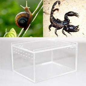 img 1 attached to MABELER Magnetic Acrylic Reptile Cage: Nano Enclosure for Reptile Breeding and Terrarium 🦎 Tank with Transparent Design for Tarantulas, Scorpions, Sling, Isopods, Lizards, Roaches, Invertebrates, Insects, and Mantises