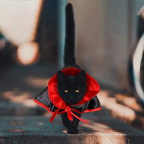 img 1 attached to 🎃 Frienda Halloween Pet Costume Set - Pet Cape Vampire Costume Cloak and Witch Hat for Cat Puppy Cosplay Party Supplies