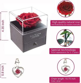img 3 attached to 🌹 Eternal Enchanted Forever Preserved Rose LOVAPPY: A Romantic Gift for Her - Red Infinity Rose in Love Box with Necklace
