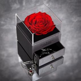 img 2 attached to 🌹 Eternal Enchanted Forever Preserved Rose LOVAPPY: A Romantic Gift for Her - Red Infinity Rose in Love Box with Necklace