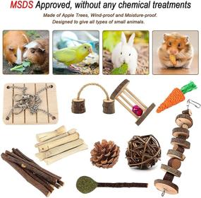 img 3 attached to ZALALOVA 10Pcs Natural Wooden Pine Guinea Pig Toys, Hamster Chew Toys for Rats Chinchillas, Bunny Rabbits, Gerbils - Edible Toy with Exercise Bell Roller for Teeth Care and Molar Play