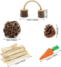 img 1 attached to ZALALOVA 10Pcs Natural Wooden Pine Guinea Pig Toys, Hamster Chew Toys for Rats Chinchillas, Bunny Rabbits, Gerbils - Edible Toy with Exercise Bell Roller for Teeth Care and Molar Play