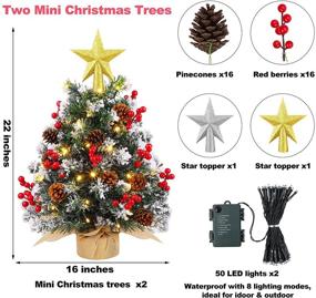 img 3 attached to MCEAST 2-Pack 22 Inch Mini Artificial Christmas Trees with 2 LED String Lights, Tabletop Xmas Tree Set including Tree Toppers, Red Berries, Pinecones, and Stable Burlap Stand - Ideal for Xmas Holiday Party Decorations