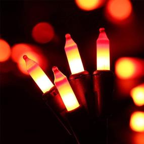 img 2 attached to 🎃 Hayata 24ft 100 Incandescent Orange Mini Bulbs Halloween String Lights - Enhance Outdoor and Indoor Spooky Decor, Fairy Garden, Yard, Home, Party – Ideal for Halloween Holiday Decorations