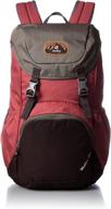 рюкзак deuter cranberry aubergine 20 литров логотип