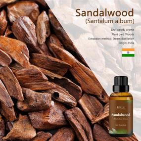 img 3 attached to Sandalwood Essential ESSLUX Ароматерапевтический диффузор