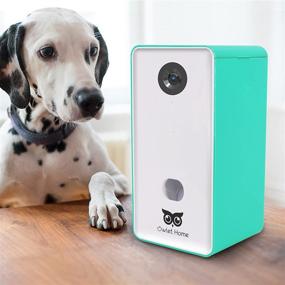 img 1 attached to 🐾 Owlet Home - Pet Camera & Treat Dispenser for Dogs/Cats - WiFi, 1080P Camera, Live Video, Auto Night Vision, 2-Way Audio - Compatible with Alexa