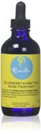 🌿 curls blueberry & mint tea scalp treatment: nourish your scalp with this 4 ounce elixir logo