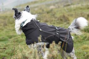 img 3 attached to ❄️ Stay Warm and Stylish with Tellpet's Reflective Waterproof Dog Jacket - Ideal for Cold Weather!