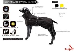 img 2 attached to ❄️ Stay Warm and Stylish with Tellpet's Reflective Waterproof Dog Jacket - Ideal for Cold Weather!