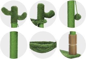 img 1 attached to 🌵 Dreamsoule Cactus Cat Tree: Cat Activity Tree with Hammock, Carpet Scratching Post, Back Scratcher, Interactive Ball, Climbing Stand for Indoor Kittens