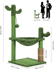 img 2 attached to 🌵 Dreamsoule Cactus Cat Tree: Cat Activity Tree with Hammock, Carpet Scratching Post, Back Scratcher, Interactive Ball, Climbing Stand for Indoor Kittens