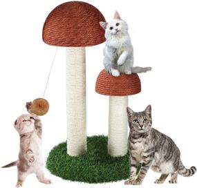 img 4 attached to 🍄 Sunnyholiday 19-Inch Tall Mushroom Cat Scratching Post - Durable Natural Sisal Scratchers for Cats with Interactive Dangling Ball - Small Cat Tree House Furniture & Training Toys