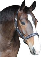 🐴 stunning oakbark padded crystal halter by henri de rivel for cob horses logo