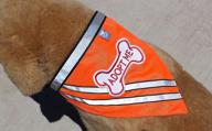 reflective adopt me bandana with embroidered dog bone patch - enhancing safety and style логотип