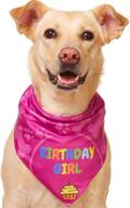 odi style bandana girl birthday logo