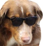 🐶 dress up your medium breeds with g006 dog pet 80s sunglasses in black - perfect for costume props & photoshoots! логотип