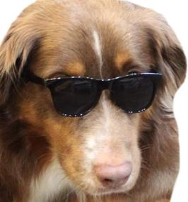 img 4 attached to 🐶 Dress Up Your Medium Breeds with G006 Dog Pet 80s Sunglasses in Black - Perfect for Costume Props & Photoshoots!