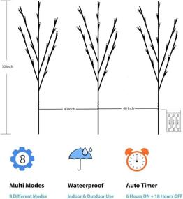 img 1 attached to 🌿 Rayslife 3 Pack LED Lighted Twig Branches with Timer and 8 Modes, Battery Operated 30 Inch 60 LED Decorative Artificial Willow Branch Lights for Home Living Room Floor Vase, Multi-Color